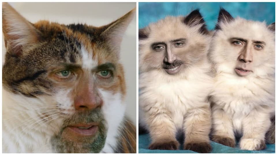 Nicolas Mňouk Cage